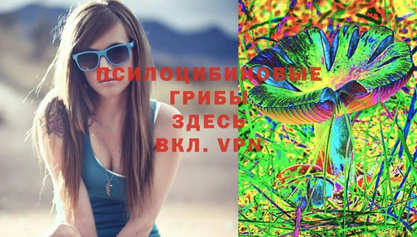 соль ск Абинск