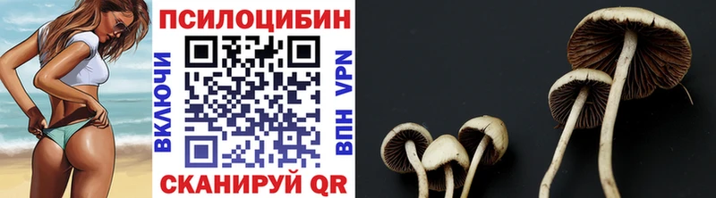 как найти   Арамиль  Псилоцибиновые грибы ЛСД 